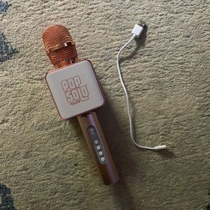 Karaoke popstar microphone
